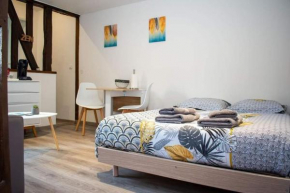 Studio Charmant Confortable TV Centre Ville Louviers